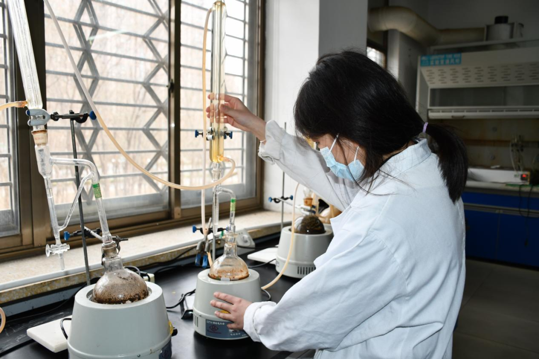 一年之計(jì)在于春，青春奮斗正當(dāng)時(shí)——醫(yī)養(yǎng)健康集團(tuán)